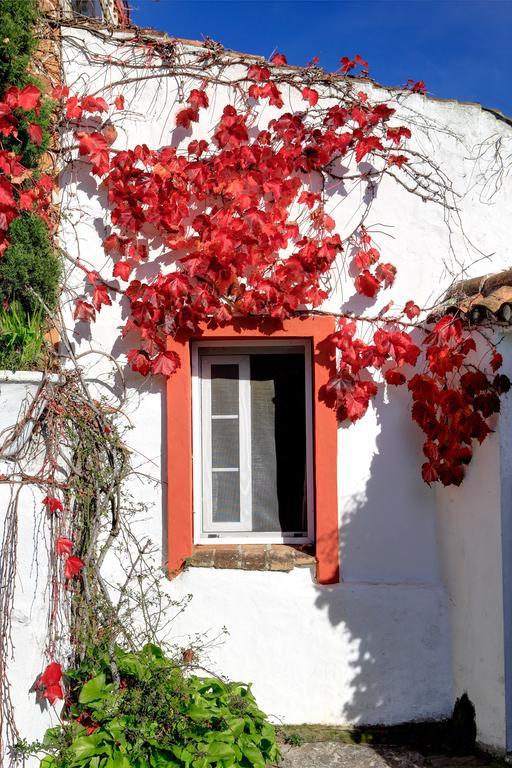 Gasthaus Cortijo La Hoya El Bujeo Exterior foto